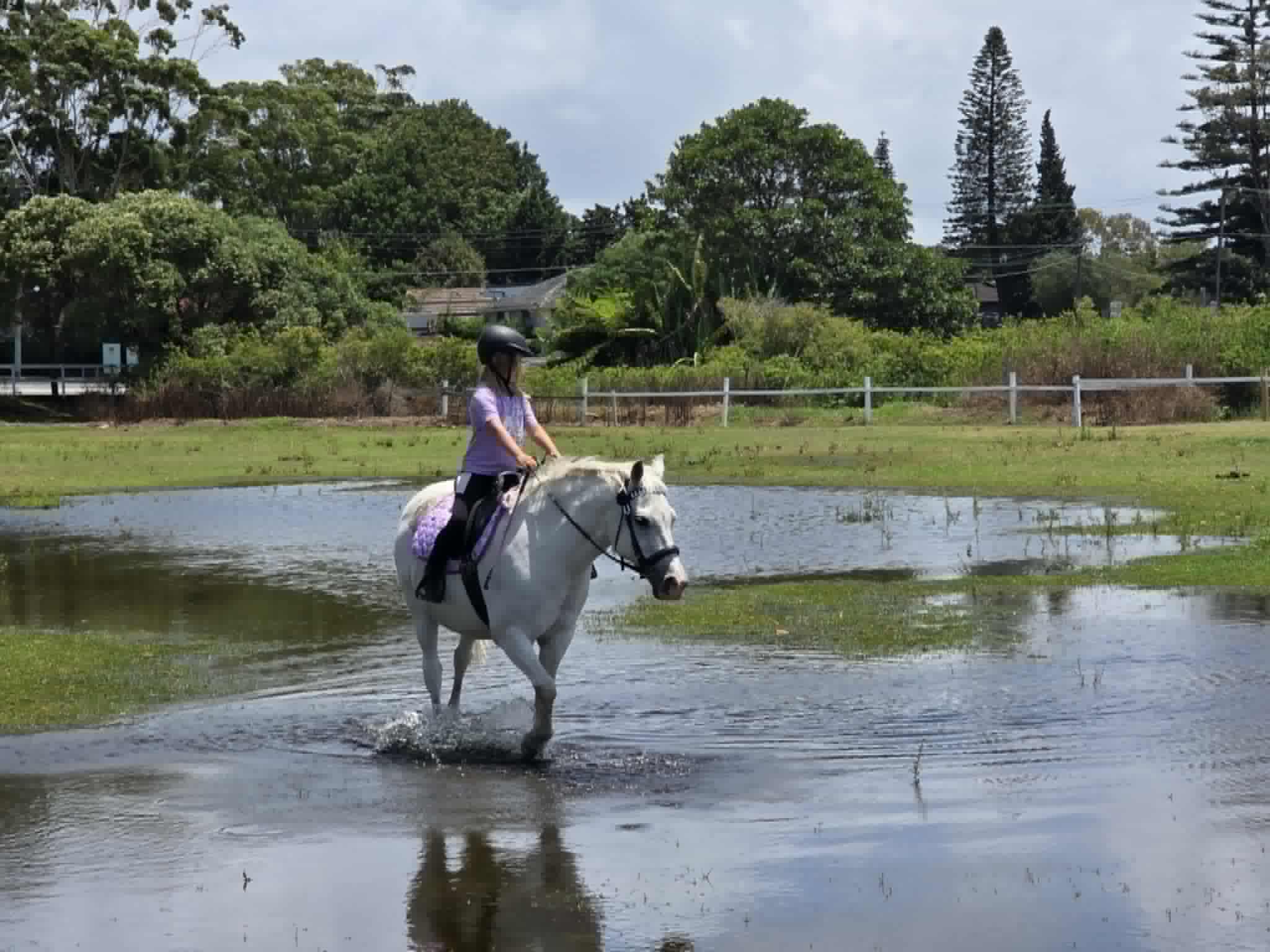 Violet riding Cloudy